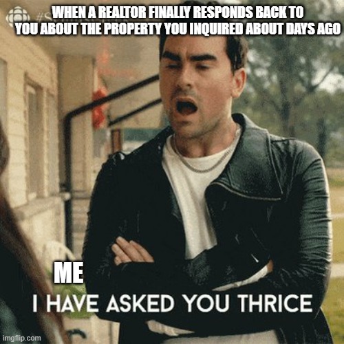 Schitts Creek! | WHEN A REALTOR FINALLY RESPONDS BACK TO YOU ABOUT THE PROPERTY YOU INQUIRED ABOUT DAYS AGO; ME | image tagged in thrice | made w/ Imgflip meme maker