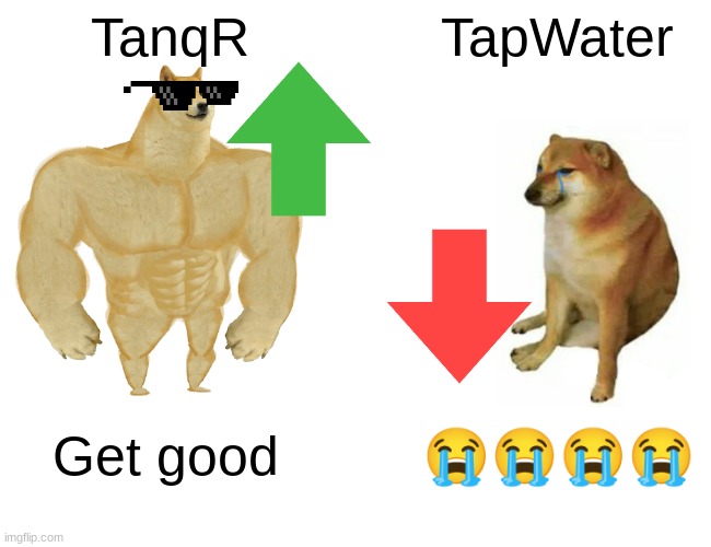 Buff Doge vs. Cheems | TanqR; TapWater; Get good; 😭😭😭😭 | image tagged in memes,buff doge vs cheems | made w/ Imgflip meme maker