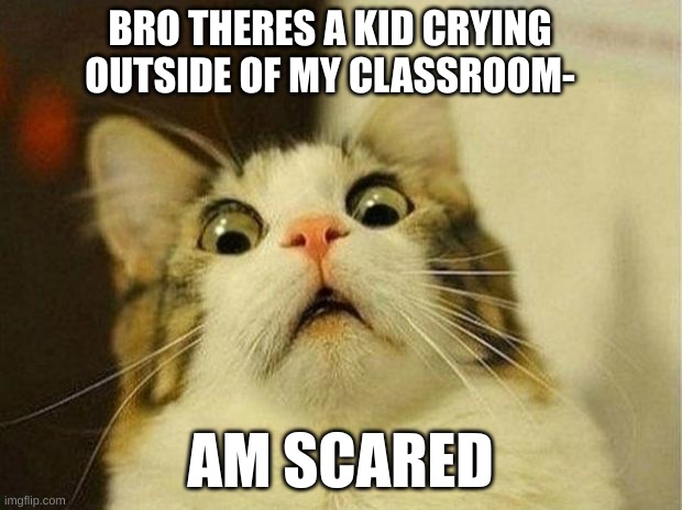 i dont really like kids so- help | BRO THERES A KID CRYING OUTSIDE OF MY CLASSROOM-; AM SCARED | image tagged in memes,scared cat | made w/ Imgflip meme maker