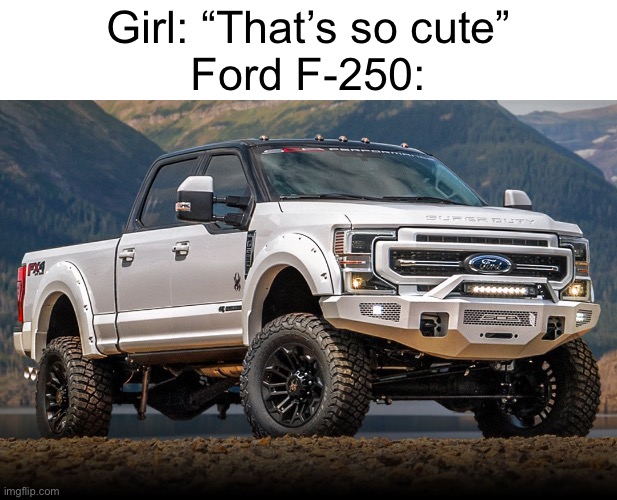 Cringe memes replaced with cars day 3 | Girl: “That’s so cute”
Ford F-250: | image tagged in cars,funny,memes | made w/ Imgflip meme maker