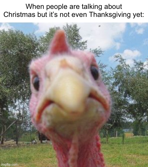 Fr | When people are talking about Christmas but it’s not even Thanksgiving yet: | image tagged in thanksgiving,funny,memes | made w/ Imgflip meme maker