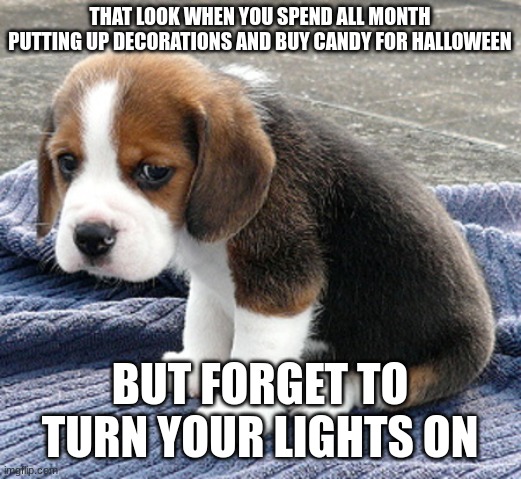 Ouch, I bet this has happened to somebody before at least once | THAT LOOK WHEN YOU SPEND ALL MONTH PUTTING UP DECORATIONS AND BUY CANDY FOR HALLOWEEN; BUT FORGET TO TURN YOUR LIGHTS ON | image tagged in sad dog,halloween,decorating,candy,spooky month,that face you make when | made w/ Imgflip meme maker