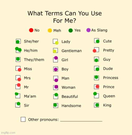 Heyyyyy Queers- It's me | image tagged in pronouns sheet | made w/ Imgflip meme maker