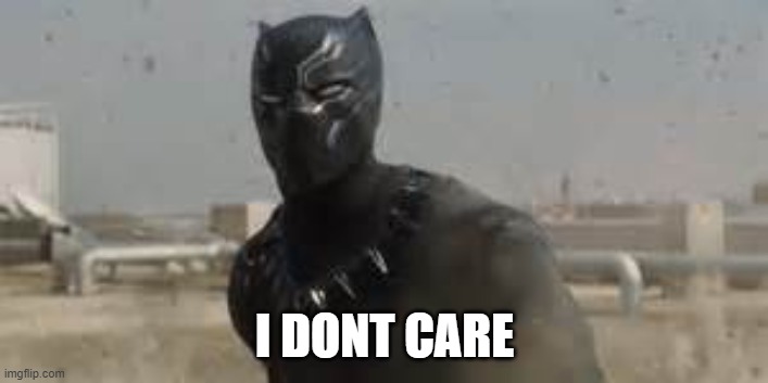 Black Panther i dont care | I DONT CARE | image tagged in black panther i dont care | made w/ Imgflip meme maker