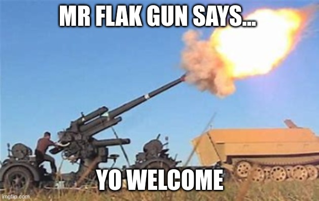 Flak gun | MR FLAK GUN SAYS... YO WELCOME | image tagged in flak gun | made w/ Imgflip meme maker