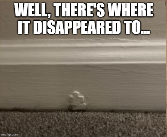 That Missing Piece | WELL, THERE'S WHERE IT DISAPPEARED TO... | image tagged in you had one job | made w/ Imgflip meme maker