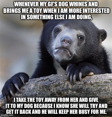 Confession Bear Meme | WHENEVER MY GF'S DOG WHINES AND BRINGS ME A TOY WHEN I AM MORE INTERESTED IN SOMETHING ELSE I AM DOING, I TAKE THE TOY AWAY FROM HER AND GIV | image tagged in memes,confession bear | made w/ Imgflip meme maker