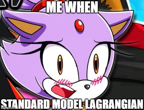 Math be like | ME WHEN; STANDARD MODEL LAGRANGIAN | image tagged in physics,math,memes | made w/ Imgflip meme maker
