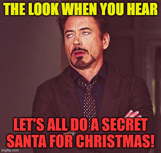 The look | THE LOOK WHEN YOU HEAR; LET'S ALL DO A SECRET SANTA FOR CHRISTMAS! | image tagged in sceret santa | made w/ Imgflip meme maker