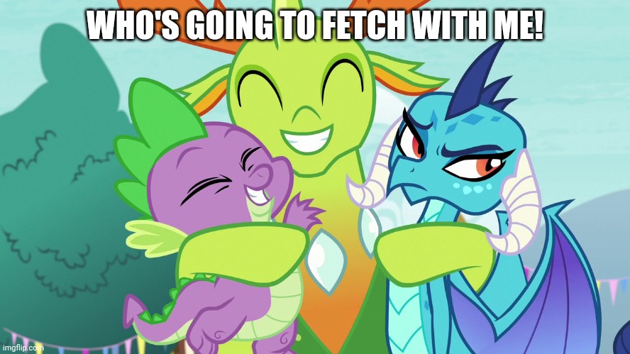 WHO'S GOING TO FETCH WITH ME! | made w/ Imgflip meme maker