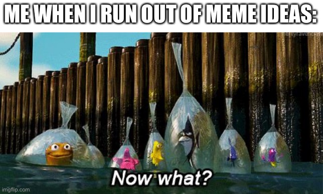 Now What? | ME WHEN I RUN OUT OF MEME IDEAS: | image tagged in now what,memes,funny,relatable,relatable memes,meme ideas | made w/ Imgflip meme maker