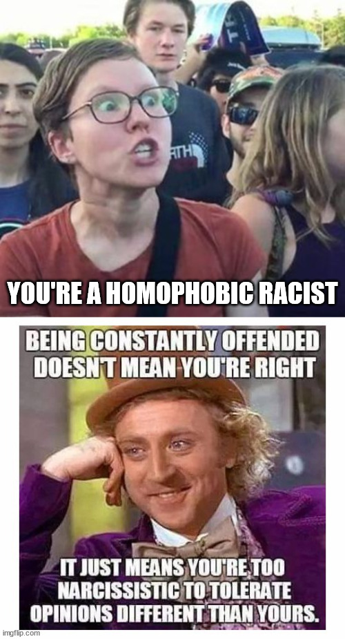I think this is true if you get angry about politics | YOU'RE A HOMOPHOBIC RACIST | image tagged in trigger a leftist,political meme | made w/ Imgflip meme maker
