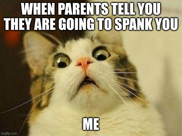 when parents tell you they are going to spank you | WHEN PARENTS TELL YOU THEY ARE GOING TO SPANK YOU; ME | image tagged in memes,scared cat | made w/ Imgflip meme maker