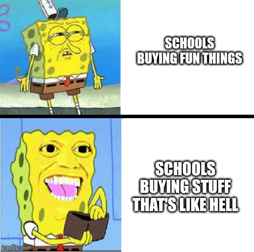 I don't think it makes sense | SCHOOLS BUYING FUN THINGS; SCHOOLS BUYING STUFF THAT'S LIKE HELL | image tagged in memes,school | made w/ Imgflip meme maker