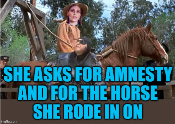 she asks for amnesty | image tagged in amnesty,horse you rode in on,covid | made w/ Imgflip meme maker