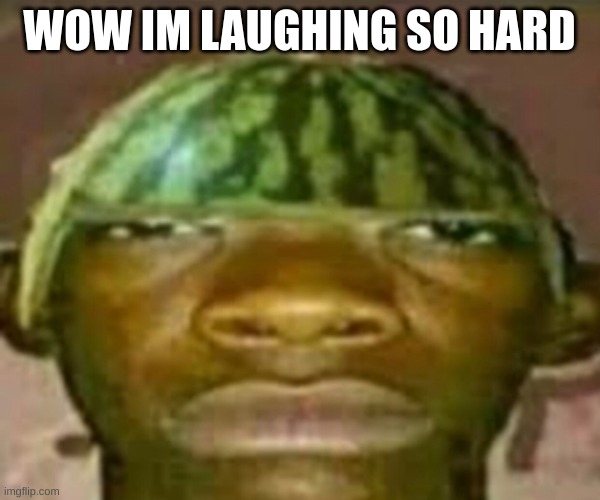 Wow that’s crazy my guy but when did I ask | WOW IM LAUGHING SO HARD | image tagged in wow that s crazy my guy but when did i ask | made w/ Imgflip meme maker