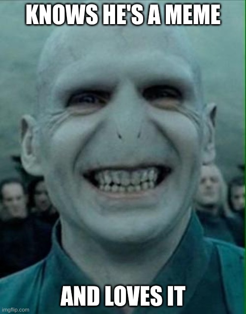 true | KNOWS HE'S A MEME; AND LOVES IT | image tagged in voldemort grin | made w/ Imgflip meme maker