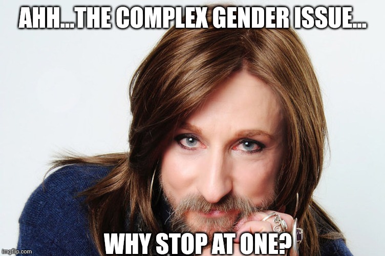 AHH...THE COMPLEX GENDER ISSUE... WHY STOP AT ONE? | made w/ Imgflip meme maker