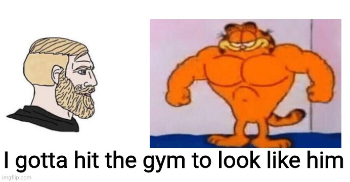 Garfield |  I gotta hit the gym to look like him | image tagged in gym | made w/ Imgflip meme maker