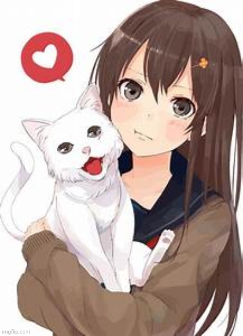 Anime girl with cat | image tagged in anime girl with cat | made w/ Imgflip meme maker