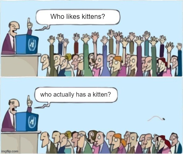 It's a meme about kittens! | Who likes kittens? who actually has a kitten? | image tagged in people raising hands | made w/ Imgflip meme maker