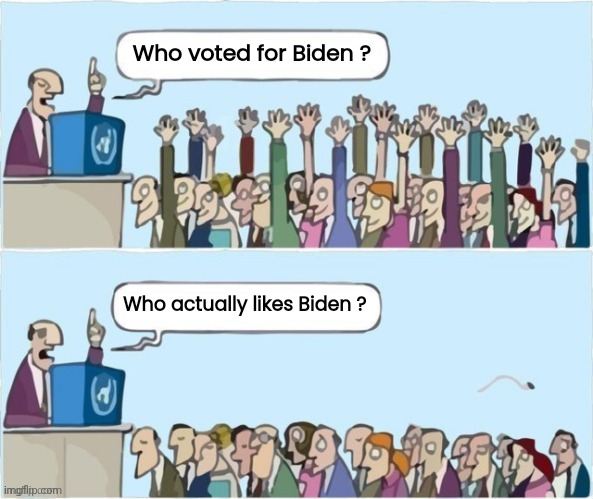 Voter's remorse | Who voted for Biden ? Who actually likes Biden ? | image tagged in people raising hands,what could go wrong,arrogant rich man,president,again | made w/ Imgflip meme maker