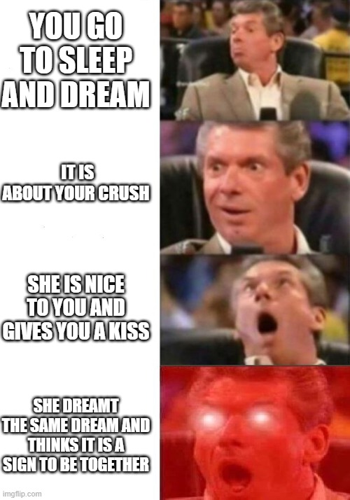 It would be amazing | YOU GO TO SLEEP AND DREAM; IT IS ABOUT YOUR CRUSH; SHE IS NICE TO YOU AND GIVES YOU A KISS; SHE DREAMT THE SAME DREAM AND THINKS IT IS A SIGN TO BE TOGETHER | image tagged in mr mcmahon reaction | made w/ Imgflip meme maker