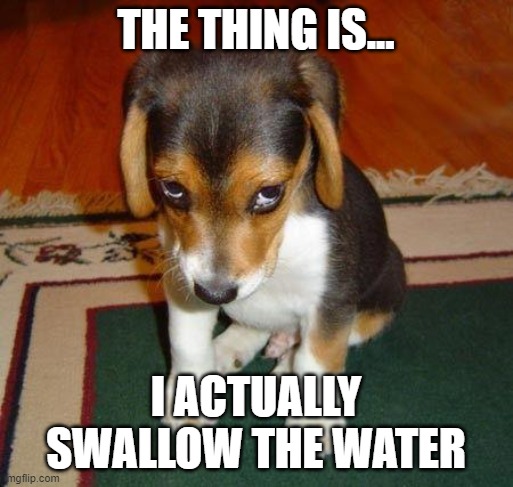 Sad puppy | THE THING IS... I ACTUALLY SWALLOW THE WATER | image tagged in sad puppy | made w/ Imgflip meme maker