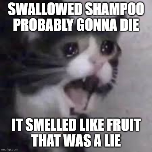 dead | SWALLOWED SHAMPOO PROBABLY GONNA DIE; IT SMELLED LIKE FRUIT
THAT WAS A LIE | image tagged in lol,it smelled like fruit that was a lie | made w/ Imgflip meme maker