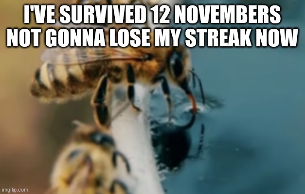 bees Memes & GIFs - Imgflip