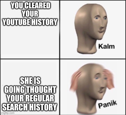 kalm panik | YOU CLEARED YOUR  YOUTUBE HISTORY SHE IS GOING THOUGHT YOUR REGULAR SEARCH HISTORY | image tagged in kalm panik | made w/ Imgflip meme maker