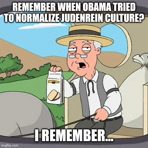 Research the Hitler Jugund | REMEMBER WHEN OBAMA TRIED TO NORMALIZE JUDENREIN CULTURE? I REMEMBER... | image tagged in memes,pepperidge farm remembers | made w/ Imgflip meme maker