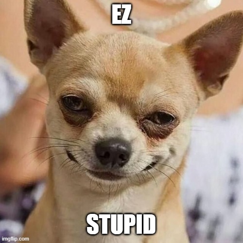 Smirking Dog | EZ STUPID | image tagged in smirking dog | made w/ Imgflip meme maker