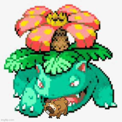 Venusaur eat the Bidoof (Bite of 87'?) Imgflip