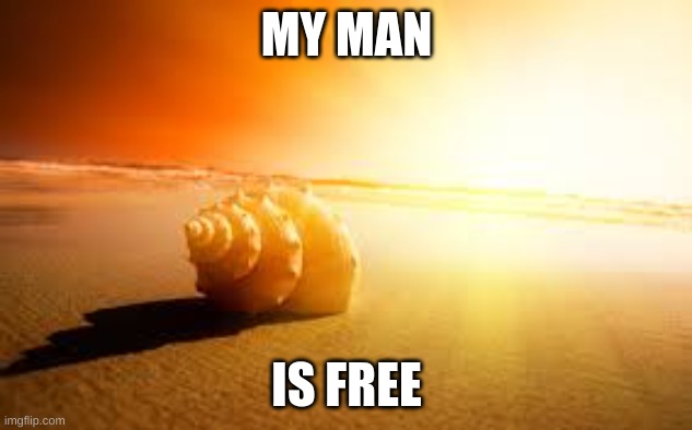 Man is free at the moment he wishes to be.  | MY MAN IS FREE | image tagged in man is free at the moment he wishes to be | made w/ Imgflip meme maker