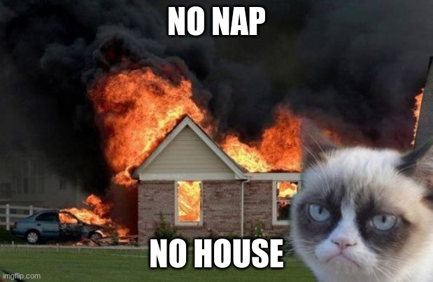 Burn Kitty | NO NAP; NO HOUSE | image tagged in memes,burn kitty,grumpy cat | made w/ Imgflip meme maker