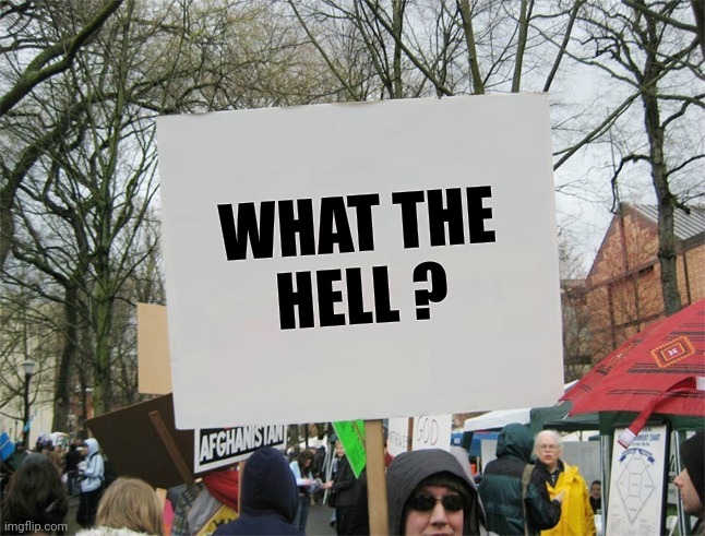 Blank protest sign | WHAT THE
HELL ? | image tagged in blank protest sign | made w/ Imgflip meme maker
