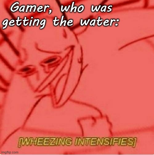 Wheeze | Gamer, who was getting the water: | image tagged in wheeze | made w/ Imgflip meme maker