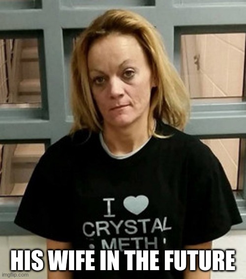 Methany | HIS WIFE IN THE FUTURE | image tagged in methany | made w/ Imgflip meme maker