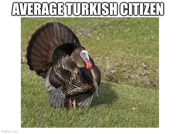 Turkey | AVERAGE TURKISH CITIZEN | image tagged in funny | made w/ Imgflip meme maker