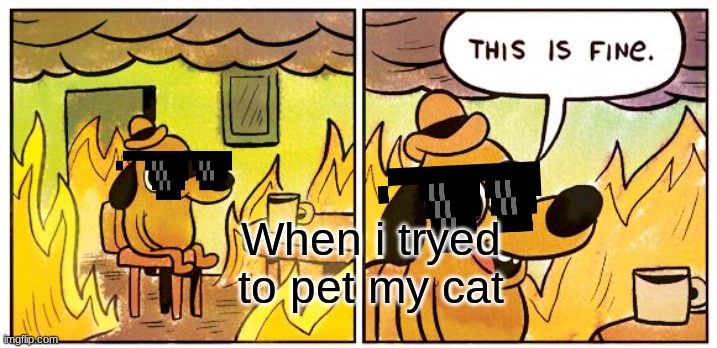 DON'T PET CAT | When i tryed to pet my cat | image tagged in memes,this is fine | made w/ Imgflip meme maker