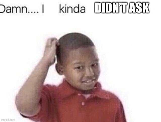 Damn I kinda don’t meme | DIDN’T ASK | image tagged in damn i kinda don t meme | made w/ Imgflip meme maker