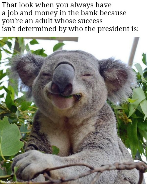 If you insist that you're poor under one president but not another one then it's time to depend on yourself | That look when you always have a job and money in the bank because you're an adult whose success isn't determined by who the president is: | image tagged in smiling koala | made w/ Imgflip meme maker