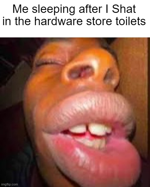 Because yes. | Me sleeping after I Shat in the hardware store toilets | image tagged in toilet,sleep,goofy ahh | made w/ Imgflip meme maker