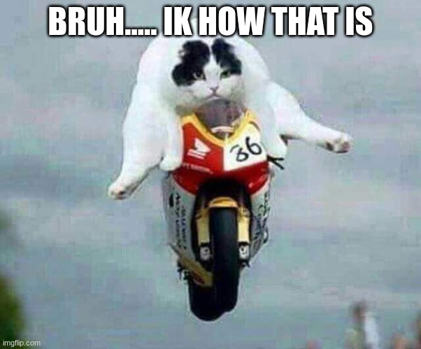 motor cat | BRUH..... IK HOW THAT IS | image tagged in motor cat | made w/ Imgflip meme maker