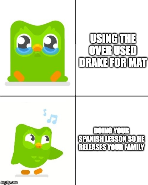 Duolingo | USING THE OVER USED DRAKE FOR MAT; DOING YOUR SPANISH LESSON SO HE RELEASES YOUR FAMILY | image tagged in duolingo drake meme | made w/ Imgflip meme maker