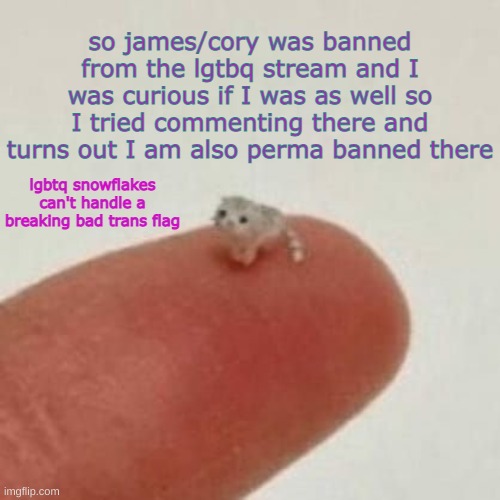 i'm also banned from the furries stream bcz of reaper | so james/cory was banned from the lgtbq stream and I was curious if I was as well so I tried commenting there and turns out I am also perma banned there; lgbtq snowflakes can't handle a breaking bad trans flag | image tagged in drm's el wiwi template | made w/ Imgflip meme maker