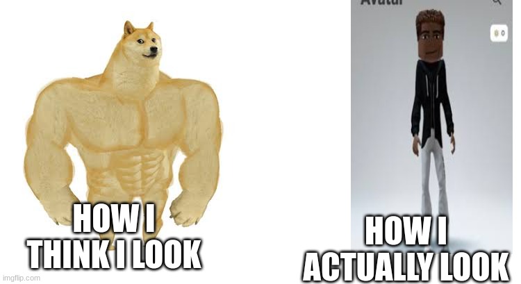 snap back to reality  pt2 | HOW I THINK I LOOK; HOW I ACTUALLY LOOK | image tagged in strong doge weak doge | made w/ Imgflip meme maker