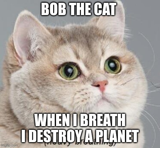 bob the cat | BOB THE CAT; WHEN I BREATH I DESTROY A PLANET | image tagged in memes,heavy breathing cat | made w/ Imgflip meme maker
