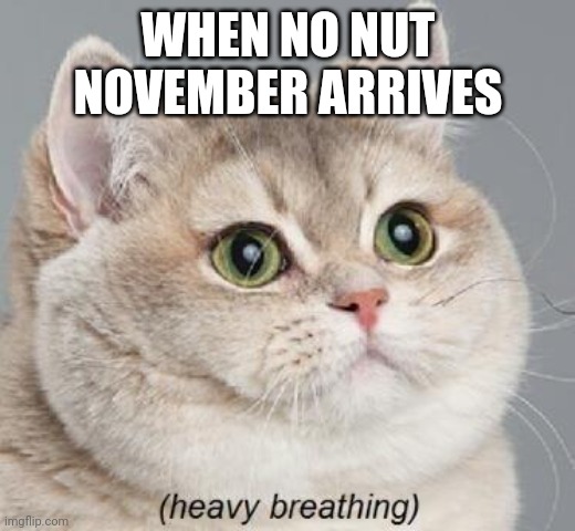 Pov | WHEN NO NUT NOVEMBER ARRIVES | image tagged in memes,heavy breathing cat | made w/ Imgflip meme maker